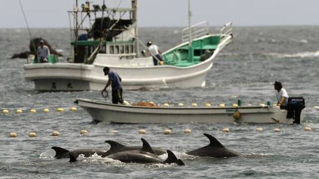 Piden proteger a especies marinas de la captura incidental