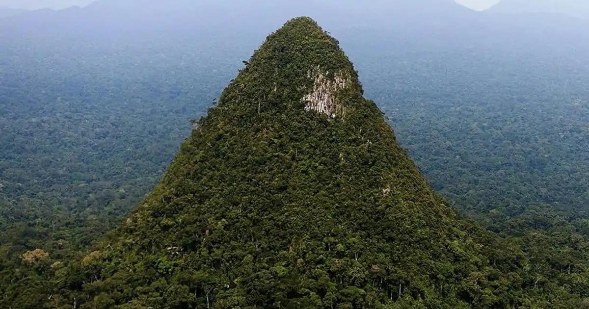 El Cerro "El Cono" en Ucayali representa tanto enigma como curiosidad ubicado dentro del Parque Nacional Sierra del Divisor.