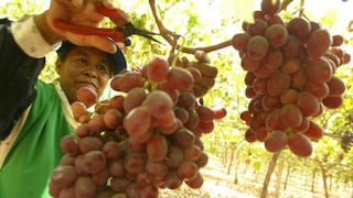 Uvas frescas en segundo lugar del ránking de exportaciones
