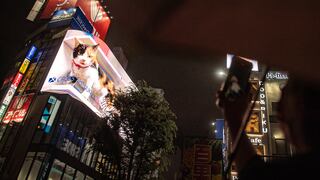 El gigantesco gato 3D que sorprende en las calles de Tokio | VIDEO