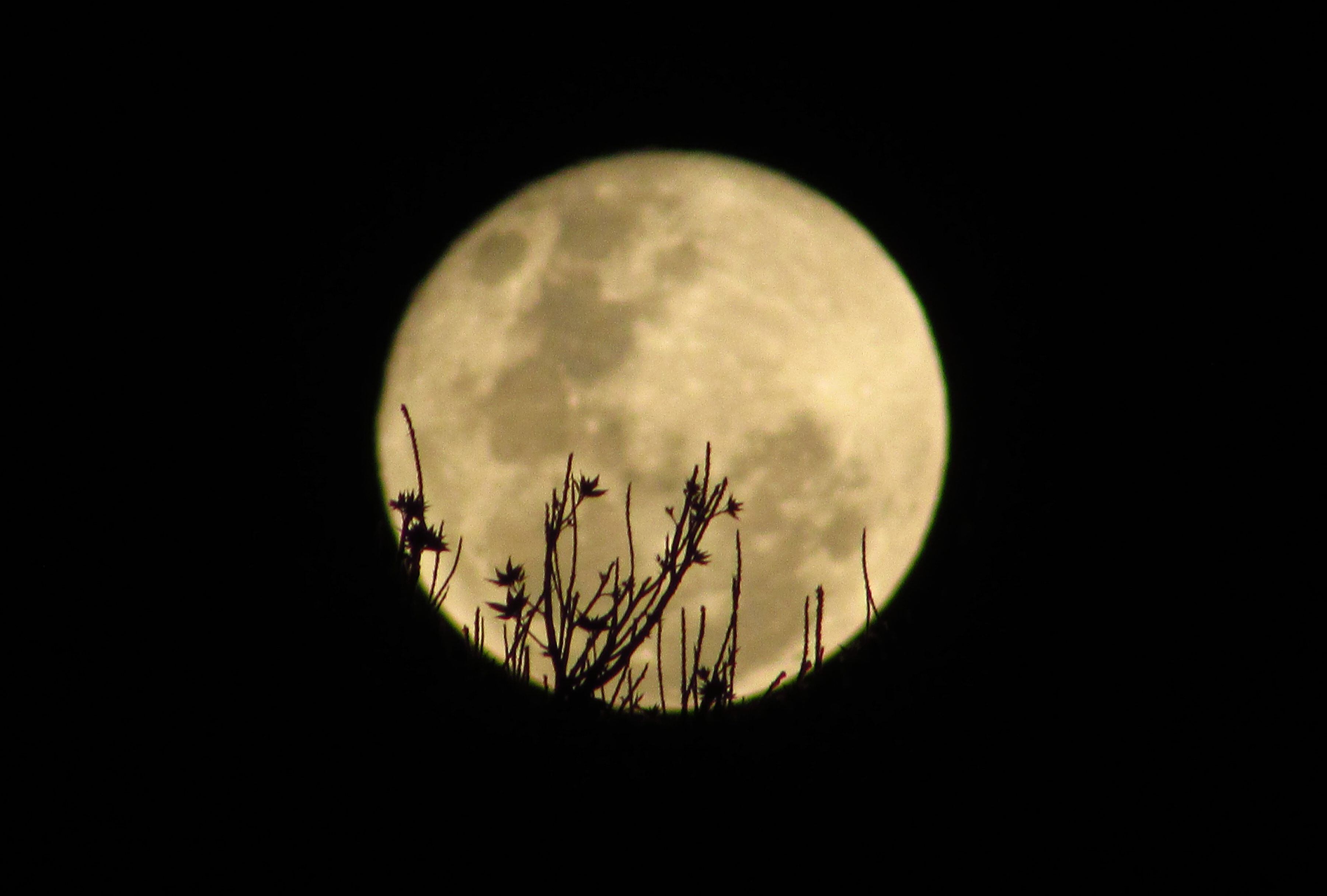Eclipse lunar total: América excluida, pero la Luna de Cosecha ilumina el cielo este 7 de septiembre. (Foto: Fernando Trezy/iStock)