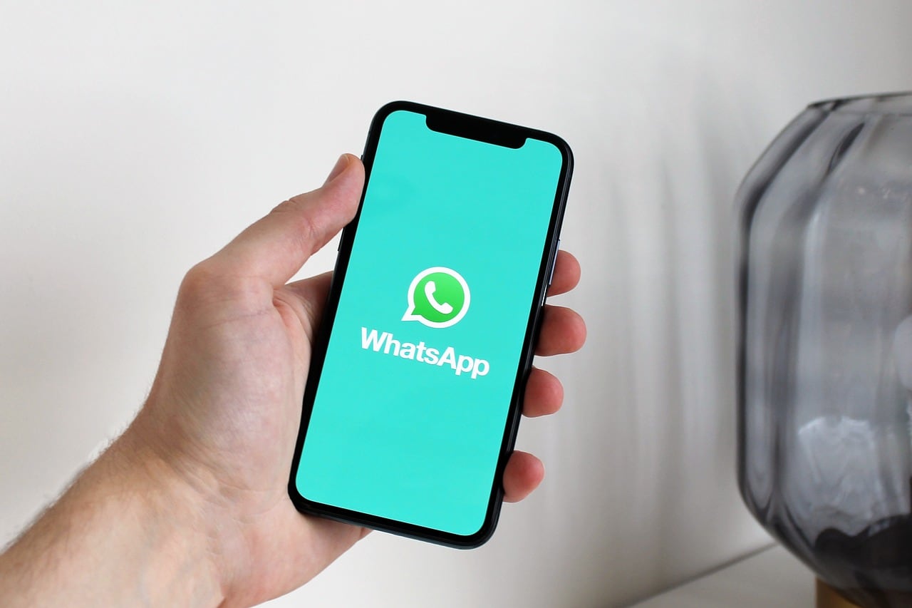 De qué trata la nueva función de WhatsApp y sus tres “palomitas” azules | En esta nota te contaremos de qué trata esta nueva función; entre otros datos relacionados a este tema. (Archivo)