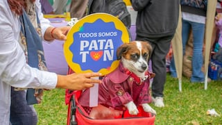 Patatón 2025: festival benéfico para animales rescatados llega al Circuito Mágico del Agua este 28 y 29 de junio