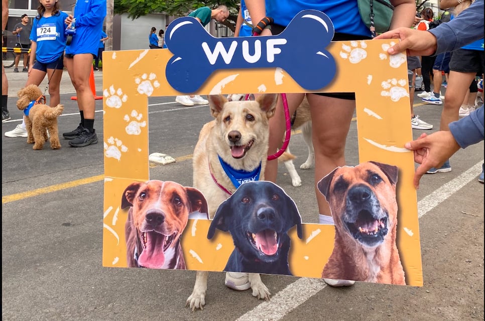 Haz que tu marca destaque donde miles de personas se reúnen para correr, compartir y vivir una experiencia inolvidable junto a sus perros.
