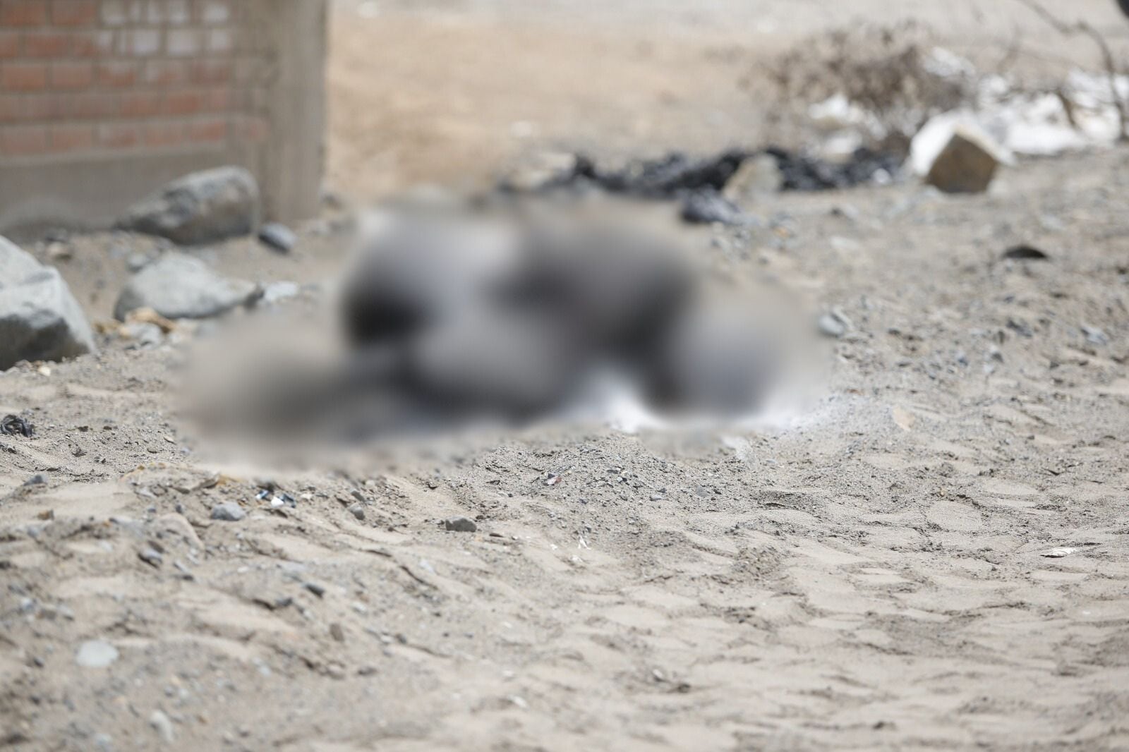 El cuerpo calcinado fue hallado en un descampado del Parque Industrial de Ancón. (Foto: Joseph angeles/ @photo.gec)