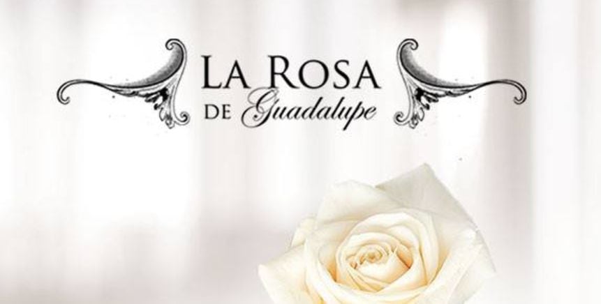 Creada por Carlos Mercado Orduña y producida por Miguel Ángel Herros, “La Rosa de Guadalupe” fue emitida por primera vez el 5 de febrero de 2008 (Foto: Televisa)