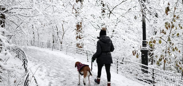 Alerta invernal en Washington: estas son las zonas bajo advertencia por intensas nevadas este fin de semana