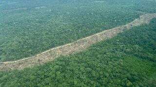Colombia: vías ilegales dejan 900 hectáreas de deforestación en territorios indígenas y un parque nacional