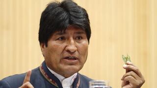 Bolivia: gobierno admite probable desvío de coca legal al narcotráfico