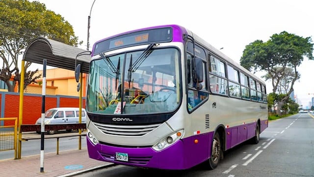 Buses del Corredor Morado recorren la Av. Brasil para trasladar a pasajeros afectados por paro de transportistas