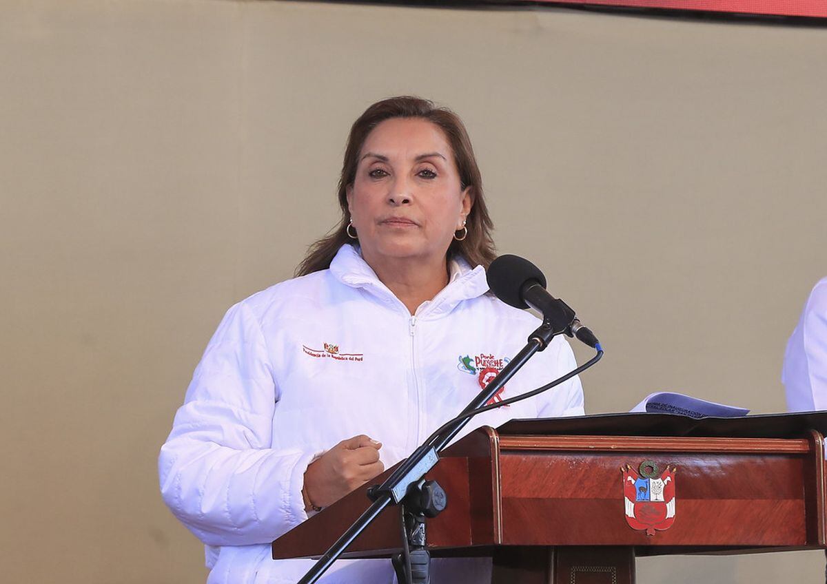 Dina Boluarte habló sobre la importancia de que el próximo presidente cumpla su mandato de cinco años. (Foto: Presidencia)