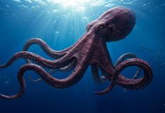 Existió un “Kraken” real: descubren pulpos gigantes de 19 metros que dominaron los océanos hace 100 millones de años
