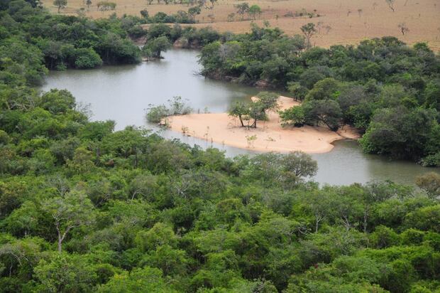 El Sitio Ramsar Río Bita, en el departamento de Vichada, es uno de los hábitats del tapir en Colombia. Foto: cortesía Fernando Trujillo / Fundación Omacha