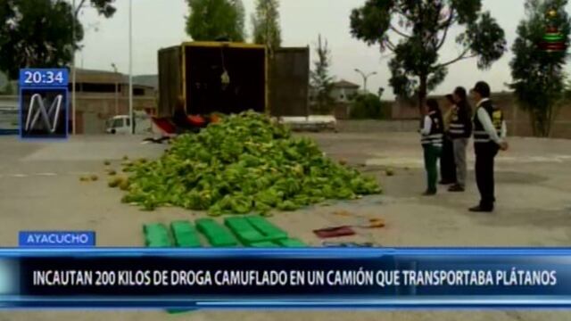 Ayacucho: incautan 200 kilos de droga camuflada en plátanos