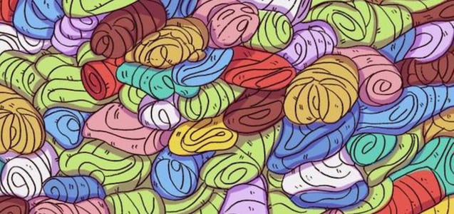 Encuentra al perro oculto entre un montón de toallas en un tiempo récord de 10 segundos