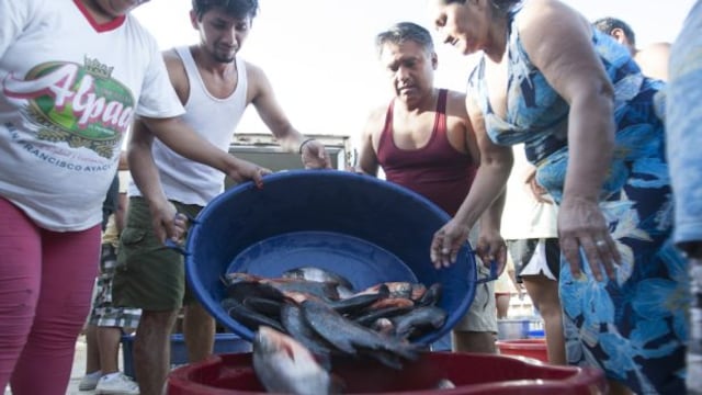Donan pescado y frutas a damnificados por inundaciones