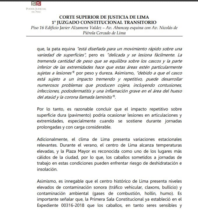 Sentencia señala que los caballos son seres sensibles.