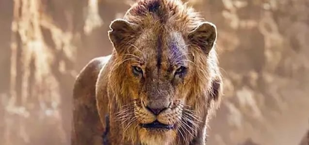 Las principales referencias de “Mufasa: El rey león” a la franquicia “The Lion King”