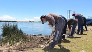 Orilla del lago Titicaca vuelve a ser limpiada por sentenciados