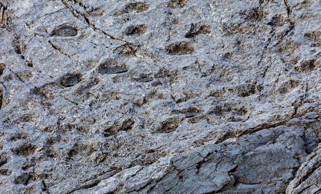 La foto muestra huellas de prosaurópodos (dinosaurios) que datan del Triásico Superior en el nuevo yacimiento paleontológico descubierto por Elio Della Ferrera en el valle de Fraele, Parque Nacional de Stelvio, en la región de Lombardía. (Foto: AFP)