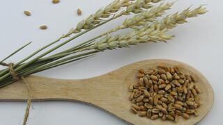 El cereal que mejora tu salud intestinal y controla el azúcar en la sangre