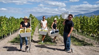 Mendoza: una guía para los viajeros que buscan confort y lujo en el paraíso del vino en Sudamérica