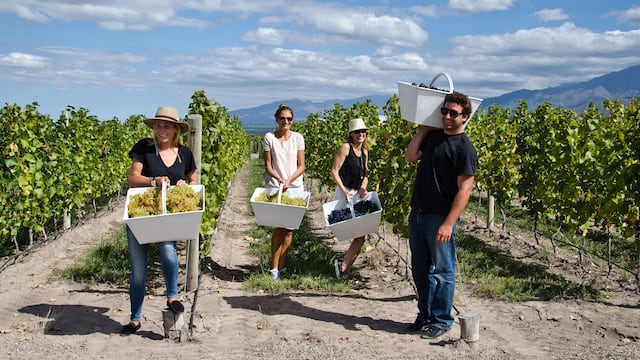 Mendoza: una guía para los viajeros que buscan confort y lujo en el paraíso del vino en Sudamérica