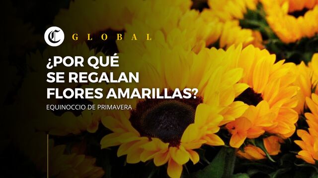 Equinoccio de primavera en México: Descubre el significado de regalar flores amarillas