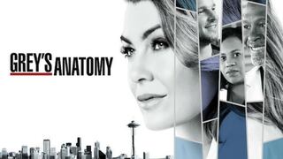 "Grey's Anatomy": la serie es renovada por dos nuevas temporadas