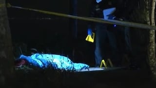 El crimen que sacudió Miraflores: las hipótesis del crimen y la planificación al detalle del ataque