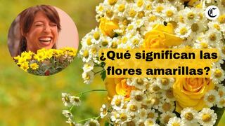 ¿Qué significado tiene regalar flores amarillas en marzo y por qué se hace?