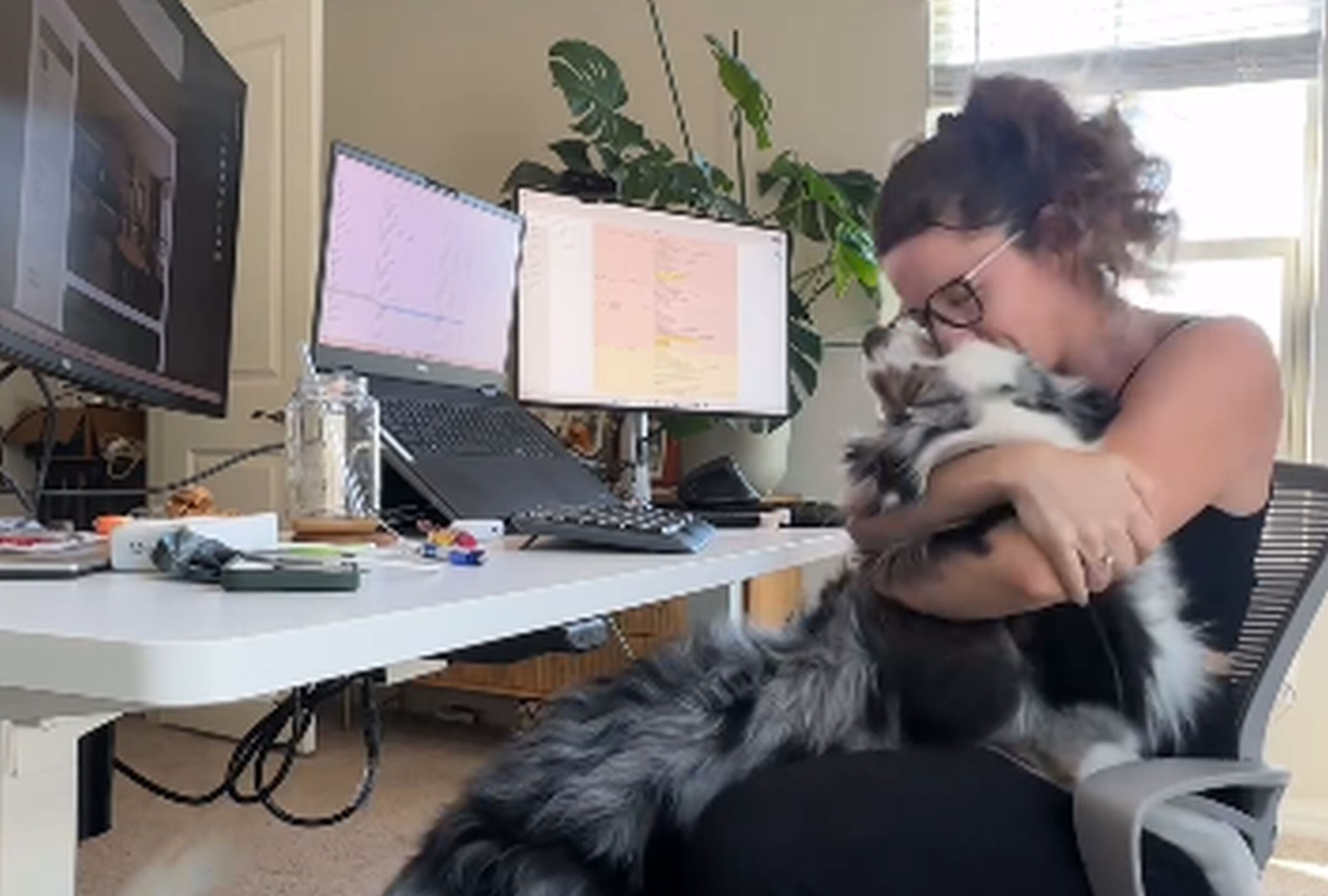 Esta imagen muestra a Alexina Bonnaventure abrazando a su perro mientras trabaja desde casa. (Foto: @stiltontheaussie / Instagram)