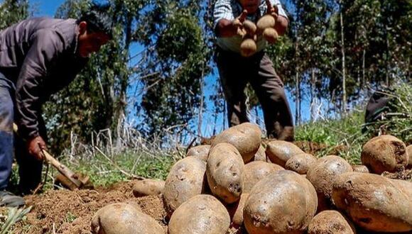 Caída se debió principalmente a la disminución del 4,1% en la producción del subsector agrícola. (Andina)