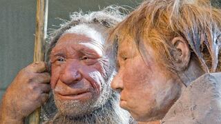 El neandertal era similar al hombre moderno [Interactivo]