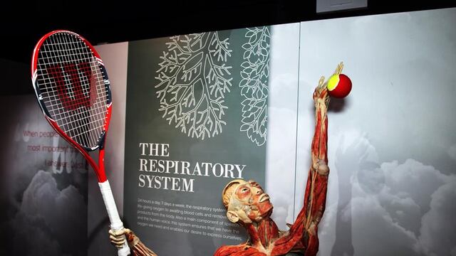 “Bodies”, la exhibición de cuerpos humanos ahora muestra los efectos del coronavirus | FOTOS