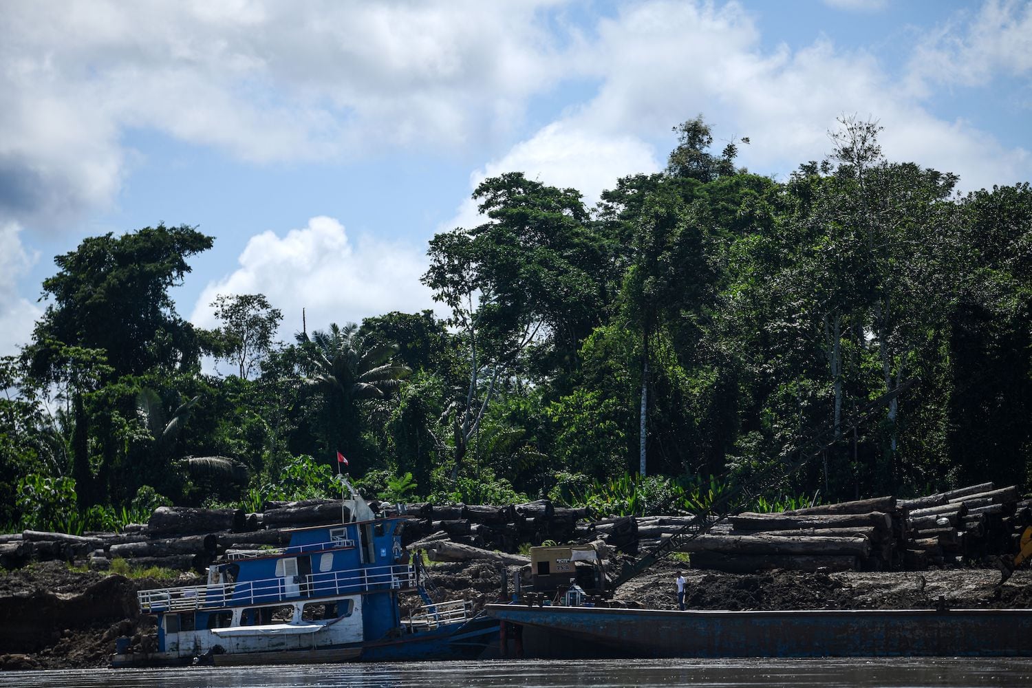 Trozas de árboles en las orillas de Bolognesi. Algunas vías habilitadas por los madereros también son utilizadas como narcopistas. Foto: Mongabay Latam.