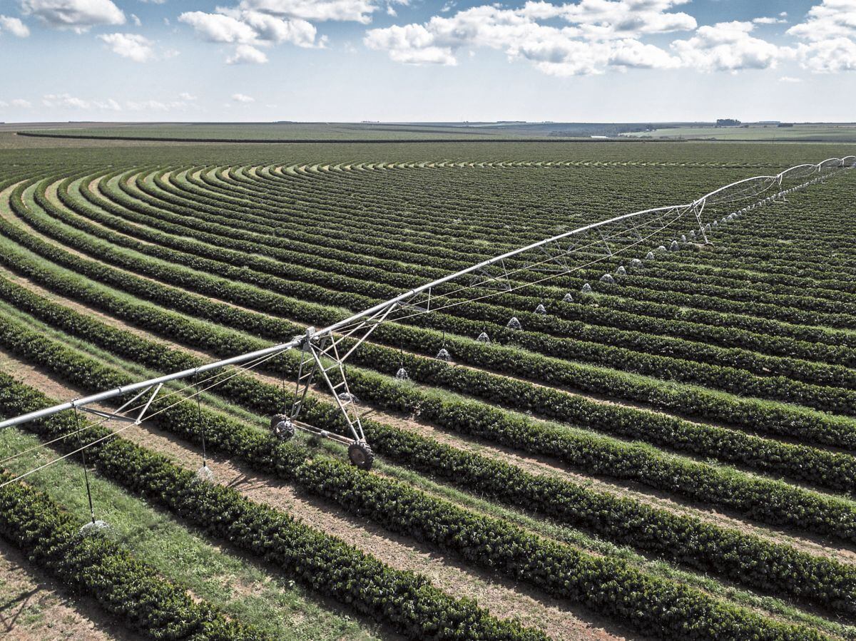 El ministro de Economía y Finanzas, José Salardi, destacó que esta iniciativa permitirá la ampliación de 1′084.921 hectáreas de frontera agrícola y la mejora en la irrigación de 278,871 hectáreas. (Foto: Bloomberg)