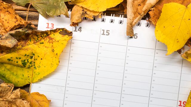 Más feriados en octubre del 2024 | ¿Qué se sabe del feriado largo y lo que se celebra en el Perú en estos días? | Foto: Freepik