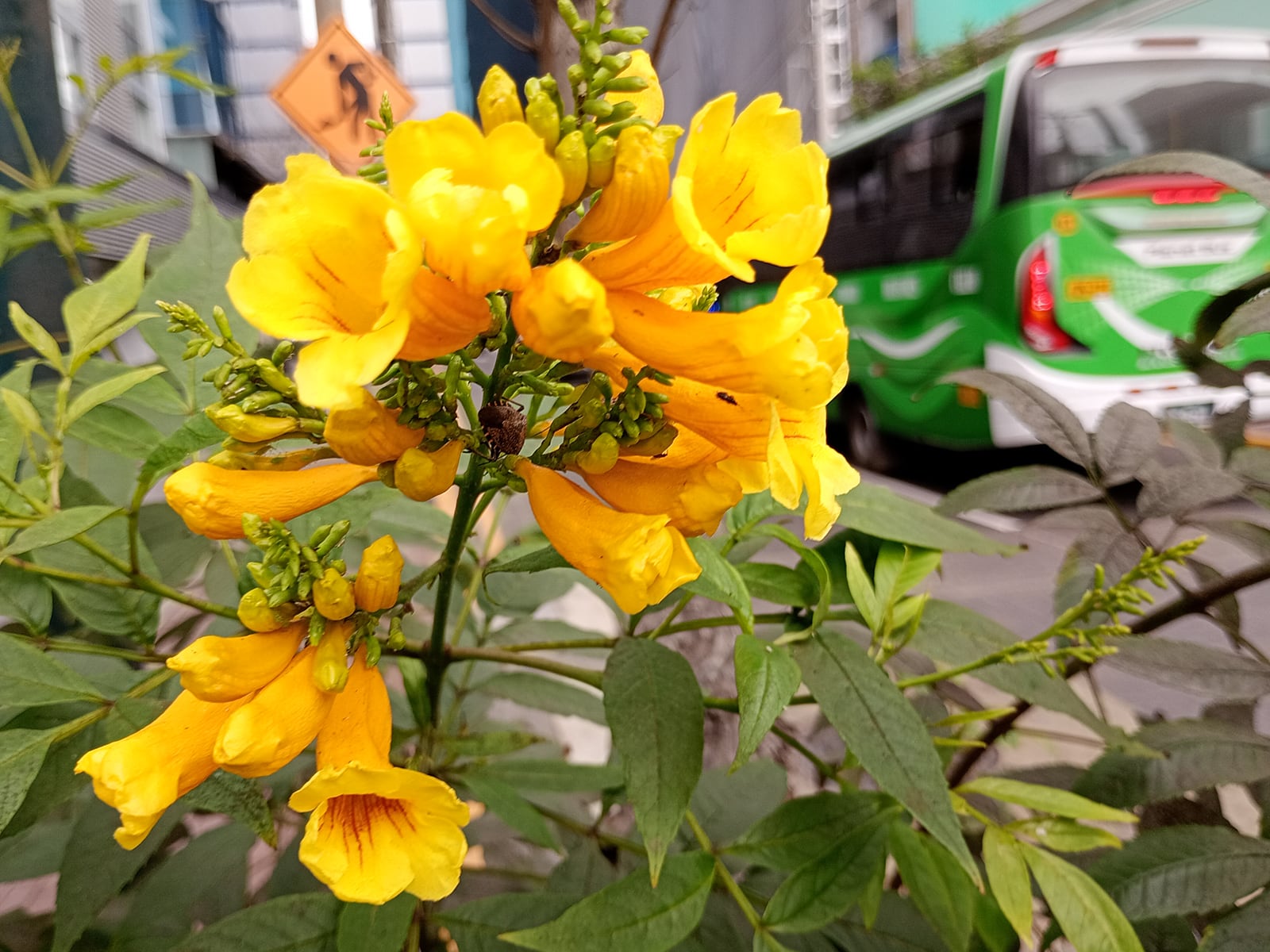 REVIEW | Así toma las fotos el Motorola Moto G24 Power. (Foto: MAG - Rommel Yupanqui)