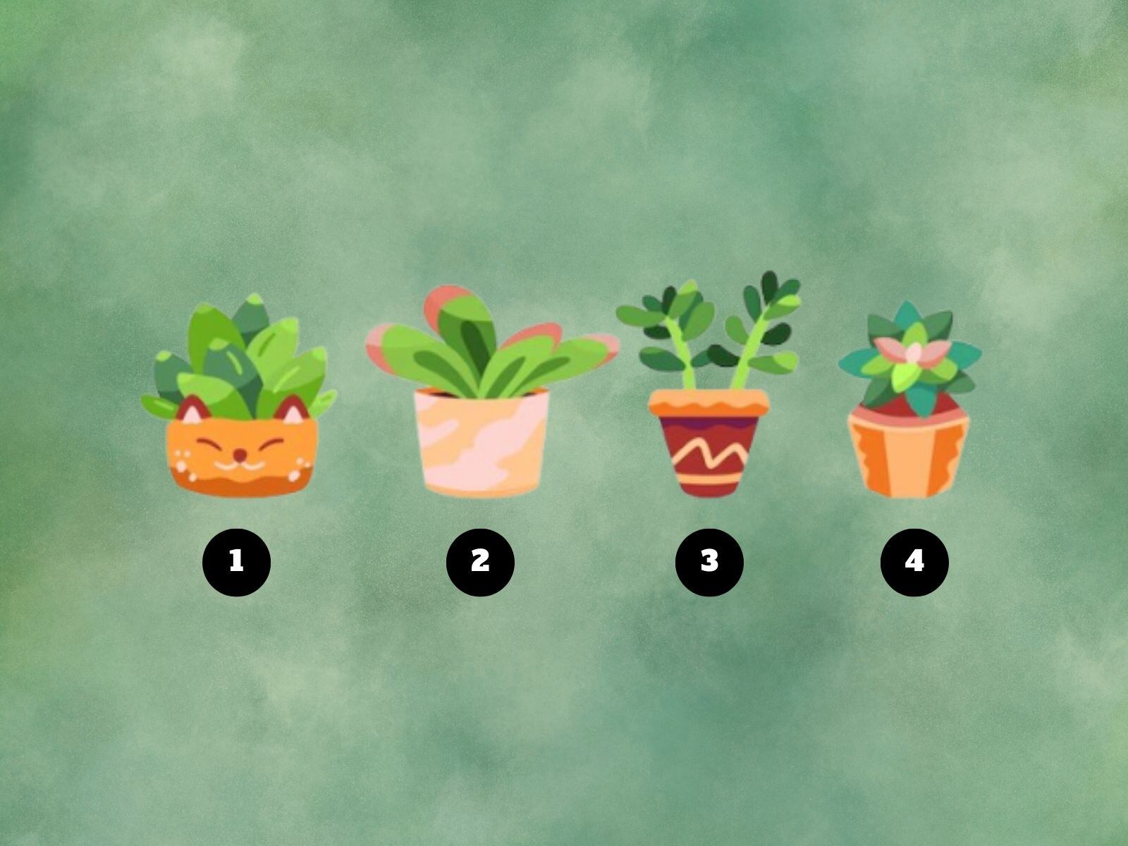 Test de personalidad: Una de estas macetas te dirá si realmente eres resiliente. (Creación: Mag / Freepik)