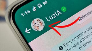 Cuál es el número para chatear con LuzIA en WhatsApp