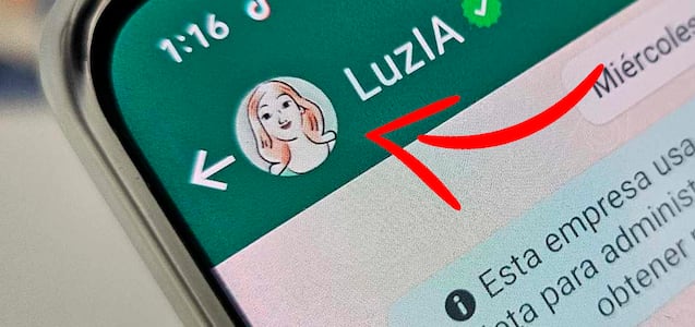 Cuál es el número para chatear con LuzIA en WhatsApp