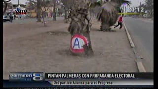 Comas: Alianza para el Progreso pintó palmeras con su logo