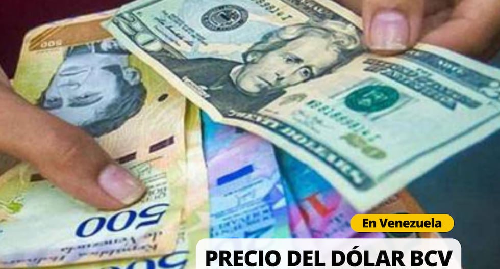 DolarToday y Monitor Dólar, viernes 24 de mayo: Cuál es la cotización en Venezuela | Foto: Diseño EC