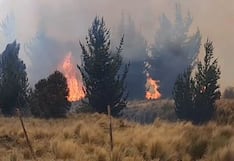 Ayacucho: incendio forestal arrasa más de 400 hectáreas de vegetación en Vinchos