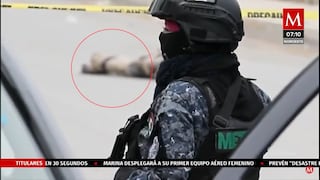Ocho cuerpos sin vida son hallados al norte de México