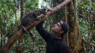 “Wildcat”, el conmovedor documental filmado en la selva peruana que es Nº 1 en Prime Video
