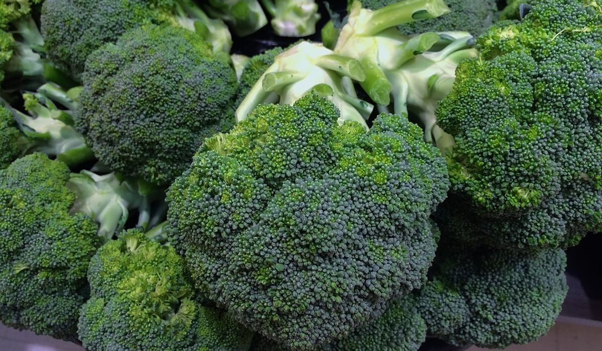 Si cocinas el brócoli por mucho tiempo generará un olor fuerte y perderá sus vitaminas y minerales. (Foto: Pixabay)