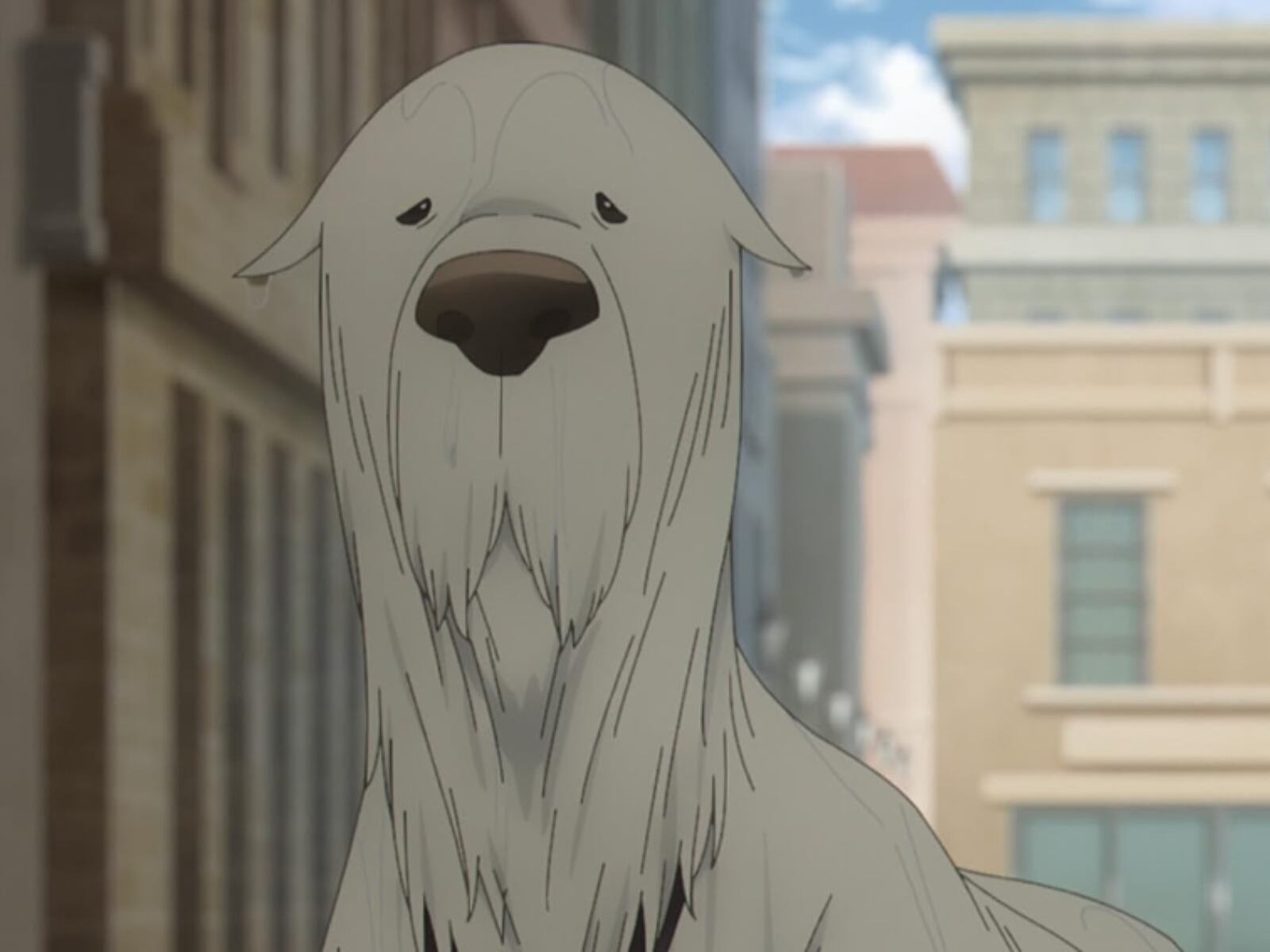 Bond mojado después de haber salvado a una cachorra en un incendio. Como se quemó un poco, le echaron agua y su aspecto lució diferente (Foto: CloveWorks)