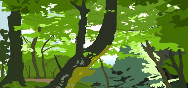 Encuentra al ciervo camuflado entre los árboles en 15 segundos